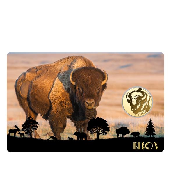 5er Set Coincards "Big Five of America" - 113486800000 - 2 - 588px