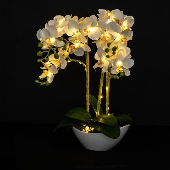 Beleuchtete Orchidee 45cm Real-Touch - 113635600000 - 2 - 588px