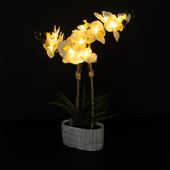 Orchidee mit LED-Beleuchtung weiß - 113701400000 - 2 - 588px
