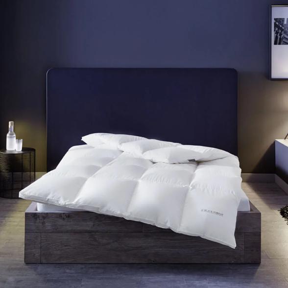 BLACK FOREST Luxus Daunendecke warm - 113775900000 - 2 - 588px