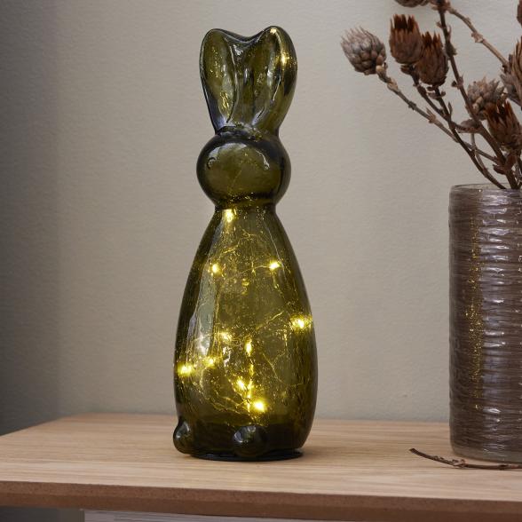 LED-Leuchthäschen - 113884400000 - 2 - 588px