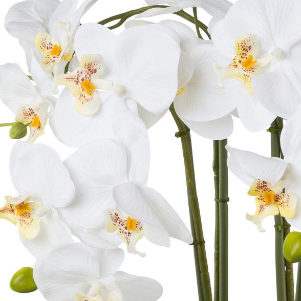 Orchidee weiß in Silberschale - 114006000000 - 2 - 588px