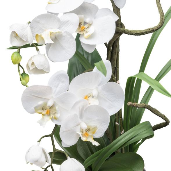 Luxus-Orchidee in Silbervase 68cm - 114006200000 - 2 - 588px