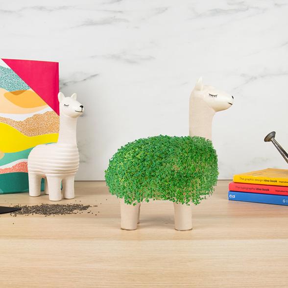 Green Lama Pflanztier + Samen - 114089400000 - 2 - 588px