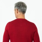 U.S. POLO ASSN. Herren-Pullover weinrot - 108692800000 - 2 - 140px