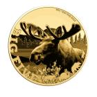 5er Set Goldmünzen "Big 5 of America" - 113362500000 - 2 - 140px