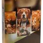 Diamond Painting Hund 3tlg. - 113595100000 - 2 - 140px