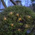 Solar-Lichterkette Bienchen - 113884300000 - 2 - 140px