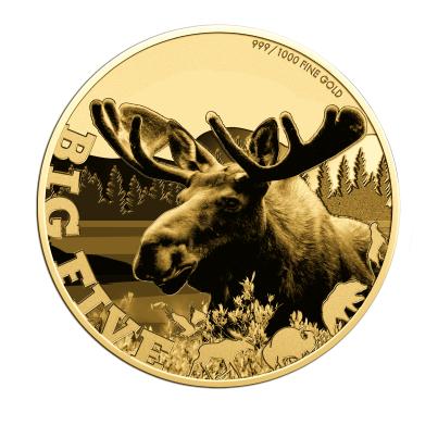 5er Set Goldmünzen "Big 5 of America"