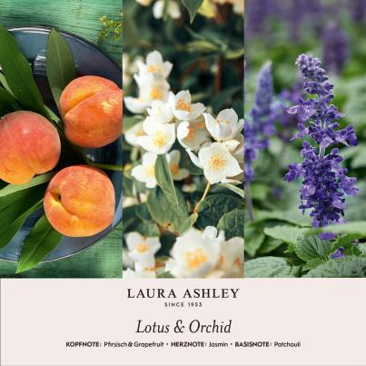 Diffuser Lotus & Orchidee