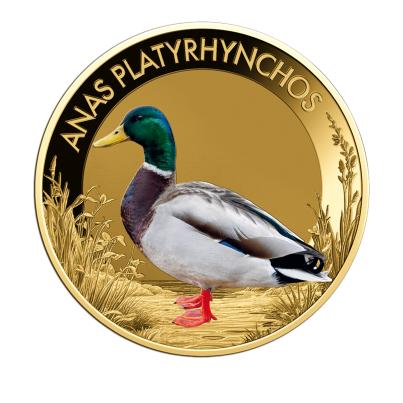 10er Set "The Most Famous Water Birds"