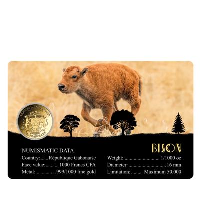 5er Set Coincards "Big Five of America"