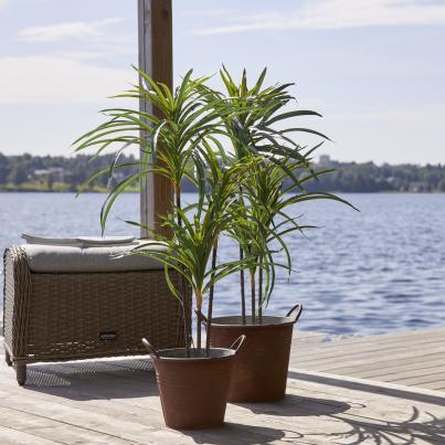 Palme mit LED-Beleuchtung