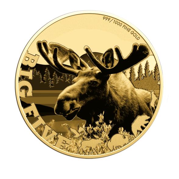 5er Set Goldmünzen "Big 5 of America" - 113362500000 - 3 - 588px