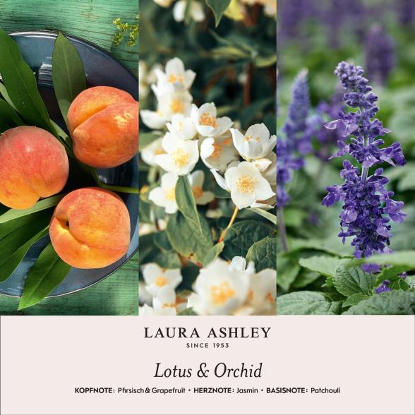 Diffuser Lotus & Orchidee - 113409800000 - 3 - 588px