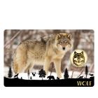 5er Set Coincards "Big Five of Europe" - 113486200000 - 3 - 140px