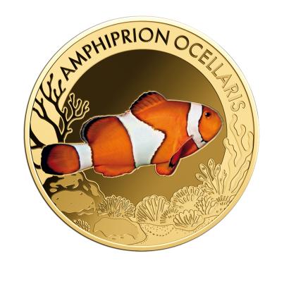 10er Set "The Most Interesting Coral Fish"