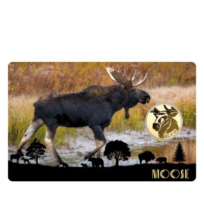 5er Set Coincards "Big Five of America"