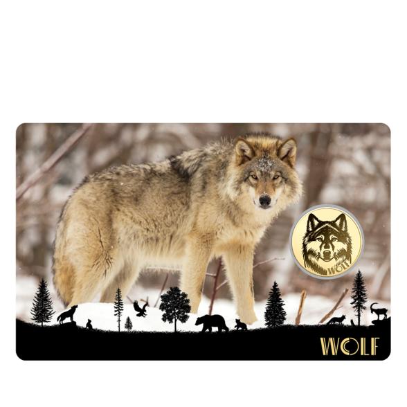 5er Set Coincards "Big Five of Europe" - 113486200000 - 4 - 588px