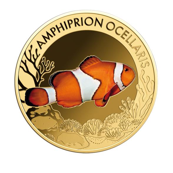 10er Set "The Most Interesting Coral Fish" - 113486300000 - 4 - 588px