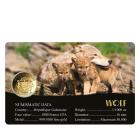 5er Set Coincards "Big Five of Europe" - 113486200000 - 4 - 140px