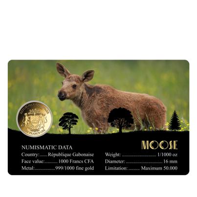 5er Set Coincards "Big Five of America"