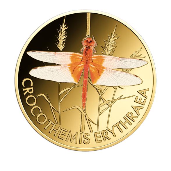 10er Set Wonder World of Dragonflies - 112385300000 - 5 - 588px