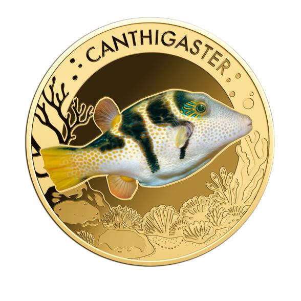 10er Set "The Most Interesting Coral Fish" - 113486300000 - 5 - 588px