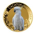 10er Set "The Most Famous Parrots" - 112873800000 - 6 - 140px