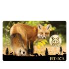 5er Set Coincards "Big Five of Europe" - 113486200000 - 5 - 140px