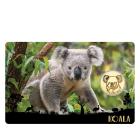 5er Coincard-Set "Big 5 Australien - 113787500000 - 5 - 140px