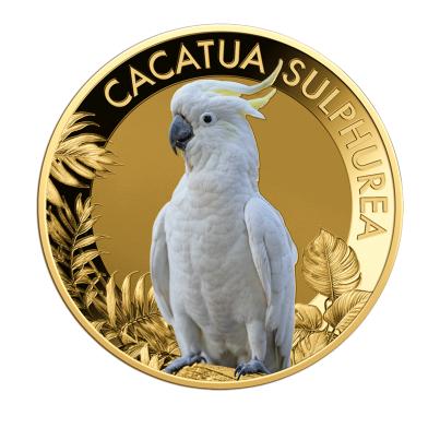 10er Set "The Most Famous Parrots"