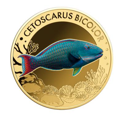 10er Set "The Most Interesting Coral Fish"