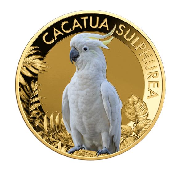 10er Set "The Most Famous Parrots" - 112873800000 - 6 - 588px