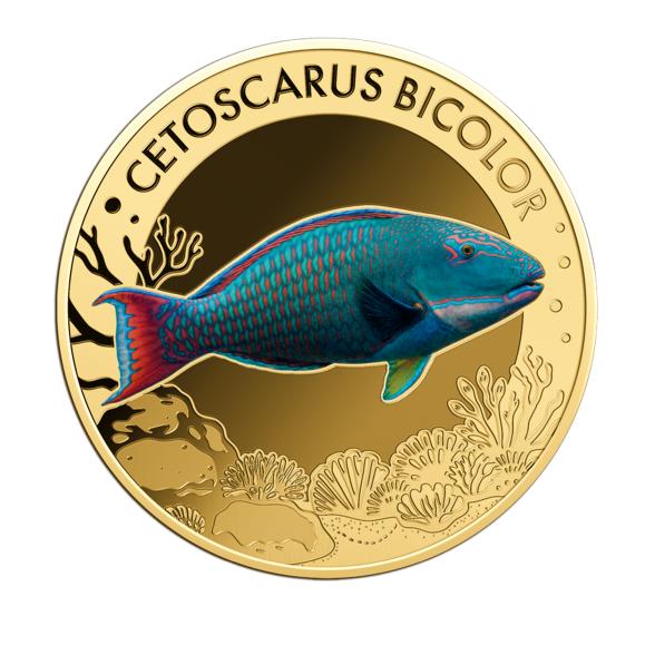 10er Set "The Most Interesting Coral Fish" - 113486300000 - 6 - 588px