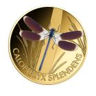 10er Set Wonder World of Dragonflies - 112385300000 - 6 - 140px