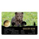 5er Set Coincards "Big Five of America" - 113486800000 - 6 - 140px