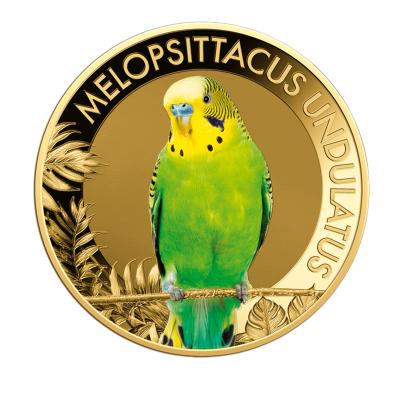 10er Set "The Most Famous Parrots"