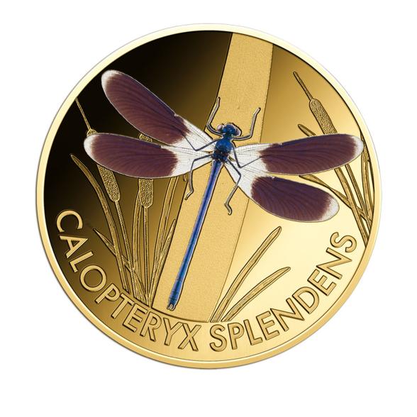 10er Set Wonder World of Dragonflies - 112385300000 - 7 - 588px