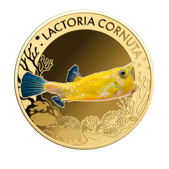 10er Set "The Most Interesting Coral Fish" - 113486300000 - 7 - 588px